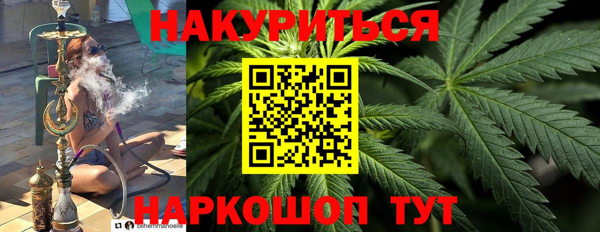 Каннабис ГИДРОПОН  Каннабис Ganja  Нарткала  Вход с VPN 
